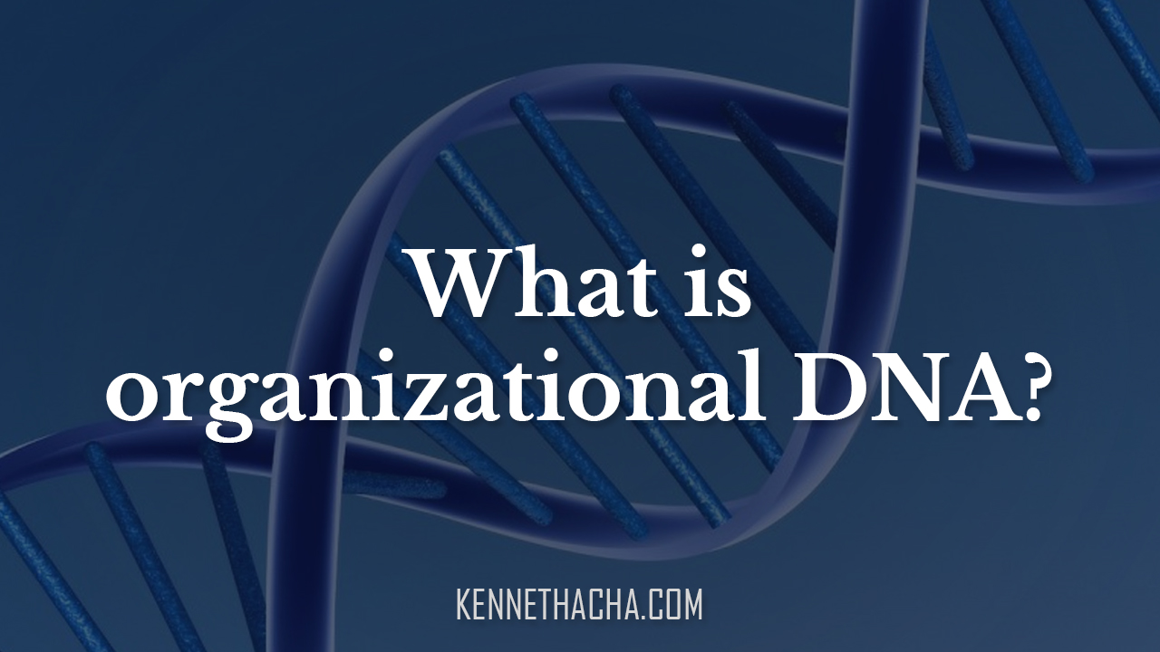 What is organizational DNA?